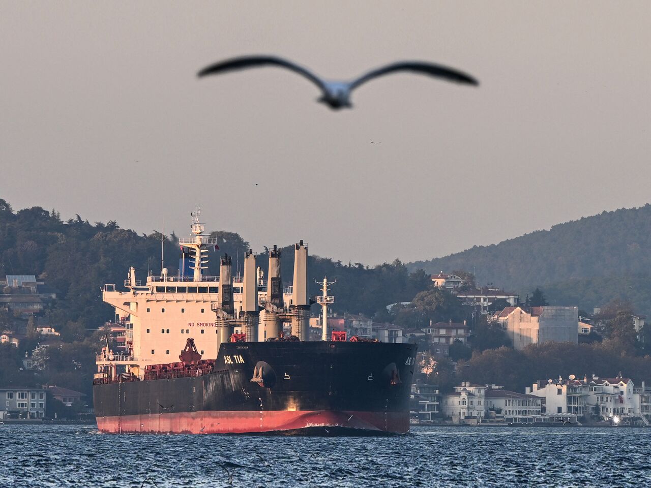Tàu chở ngũ cốc của Ukraine di chuyển qua Eo biển Bosphorus ở Istanbul, Thổ Nhĩ Kỳ.