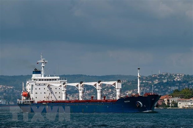 Tàu chở ngũ cốc di chuyển dọc Eo biển Bosphorus ở Istanbul, Thổ Nhĩ Kỳ.