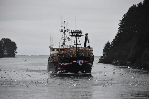 Một tàu đánh bắt cua tuyết Alaska của Mỹ.