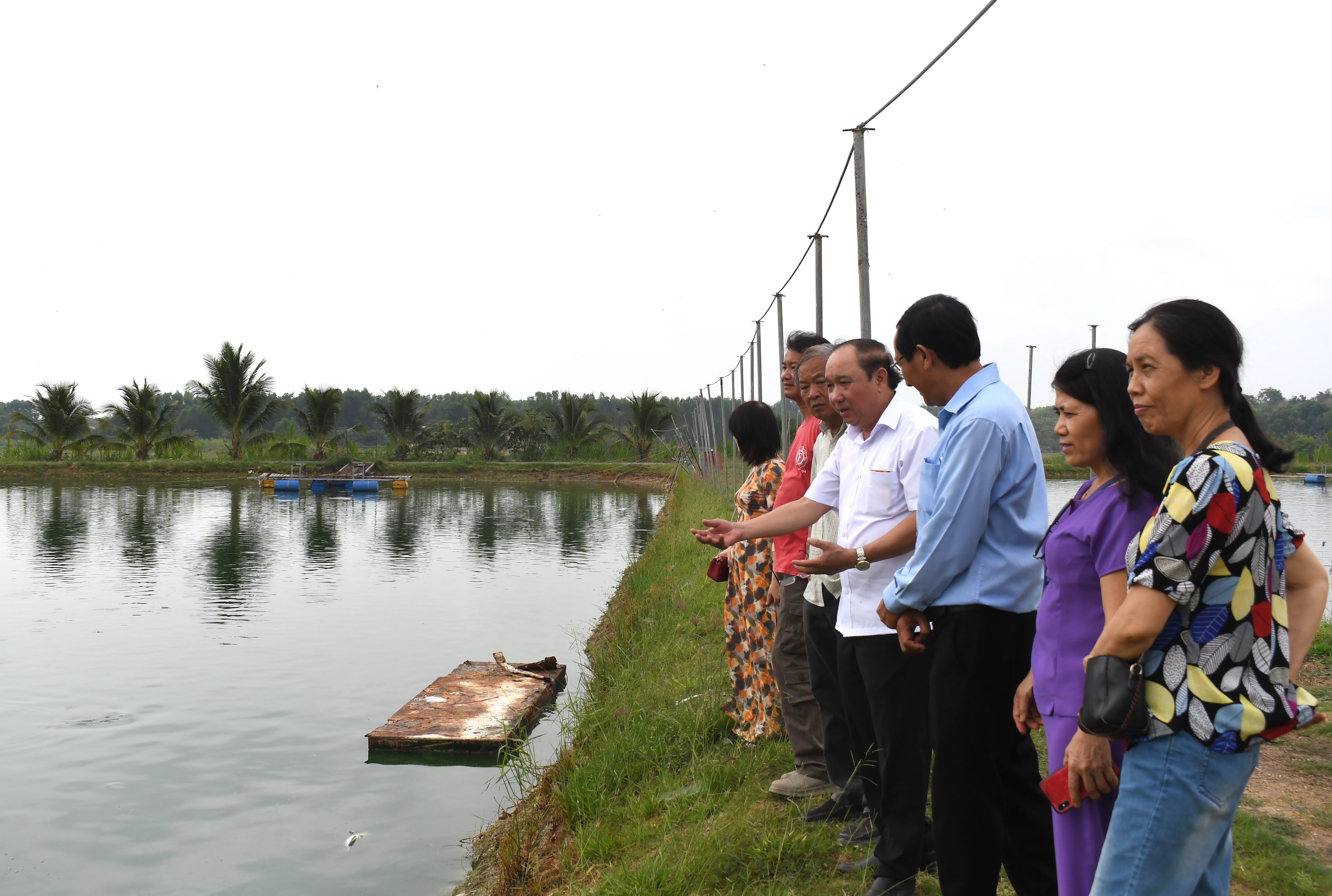 Đoàn Hội VH-NT tỉnh thực tế mô hình nuôi cá lóc ở thôn Lồ Ồ, xã Láng Dài, huyện Đất Đỏ.