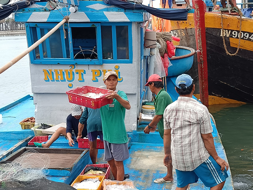 Năm nay, thời tiết chuyến biến xấu, gió mùa đông bắc kéo dài khiến ngư dân đi biển thất thu, trông chờ vào chính sách hỗ trợ theo Quyết định số 48 của Thủ tướng Chính phủ. Trong ảnh: Ngư dân ở cảng Lộc An (huyện Đất Đỏ) bốc dỡ hải sản từ tàu cá lên bờ.