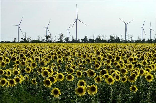 Các turbin điện ở gần Melitopol, vùng Zaporizhzhia (Ukraine).