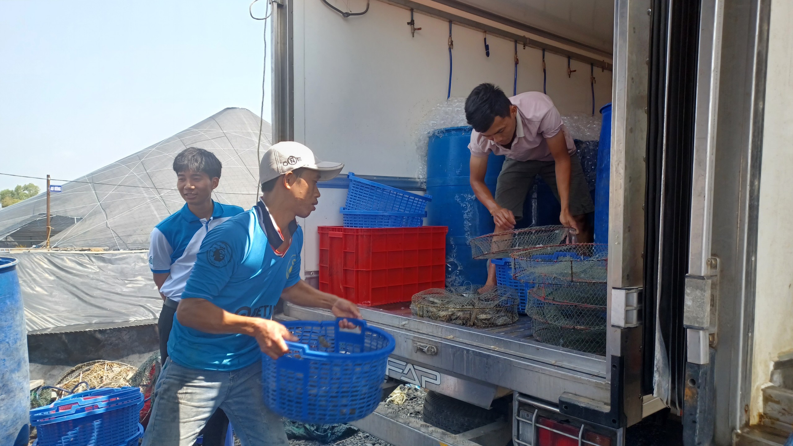 Đến năm 2025, phấn đấu thành lập mới 45 tổ chức kinh tế tập thể