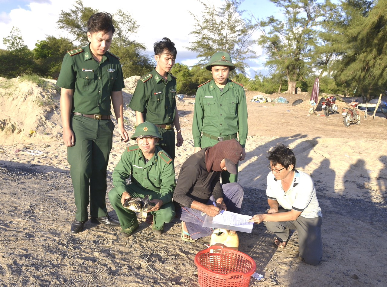 Ngư dân Hồ Chí Bảo bàn giao cá thể đồi mồi dứa  cho Đồn Biên phòng Phước Thuận.