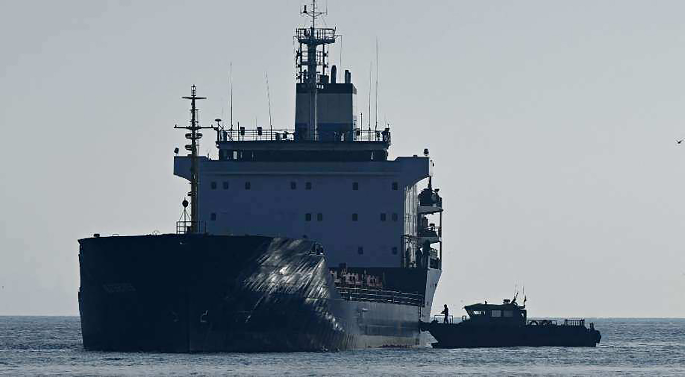 Tàu chở ngũ cốc của Ukraine được kiểm tra tại lối vào Eo biển Bosphorus ở Istanbul, Thổ Nhĩ Kỳ ngày 31/10/2022.