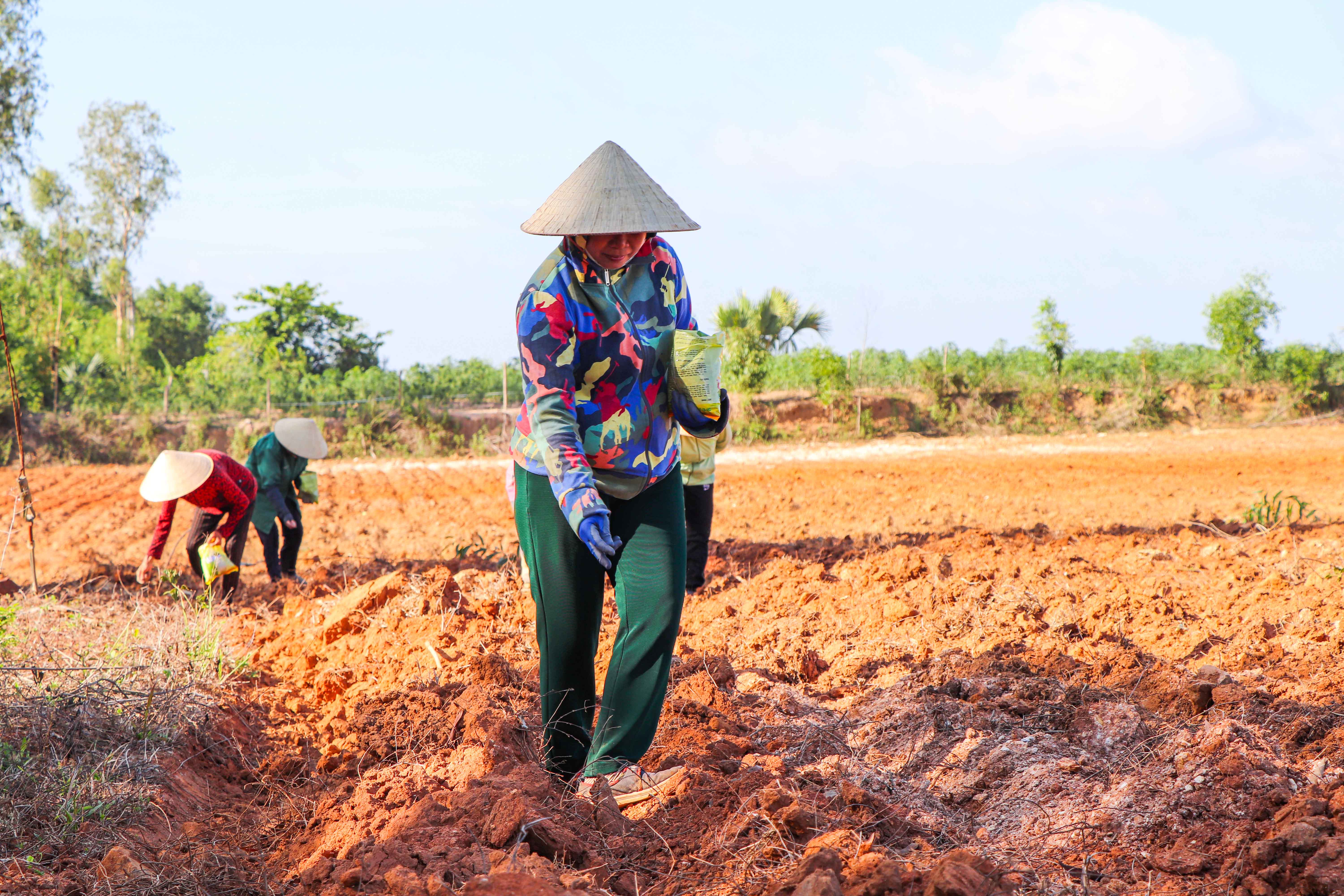 Nông dân Suối Rao tranh thủ xuống giống cho kịp thời vụ.