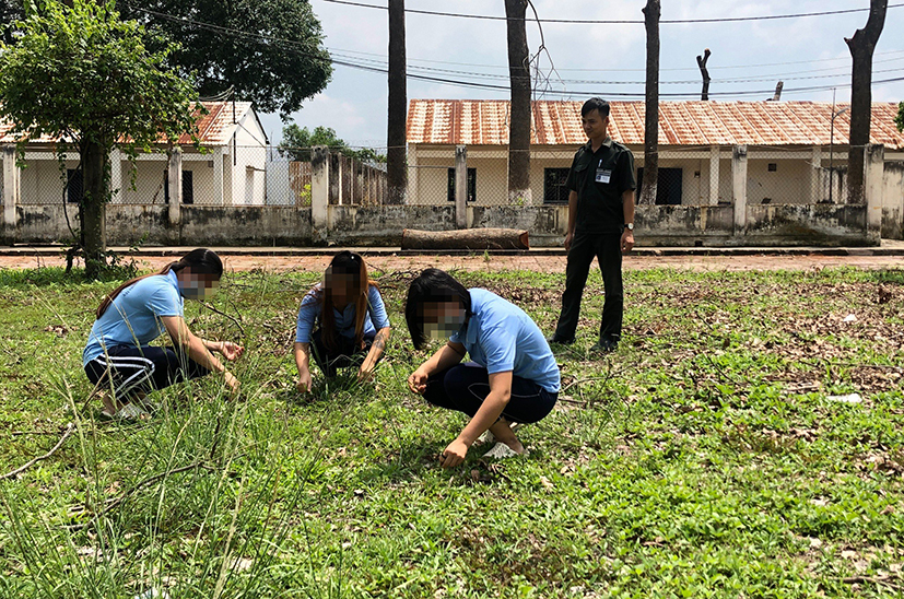 Các học viên nữ tham gia lao động trong thời gian cai nghiện bắt buộc tại Cơ sở điều trị cai nghiện ma túy.