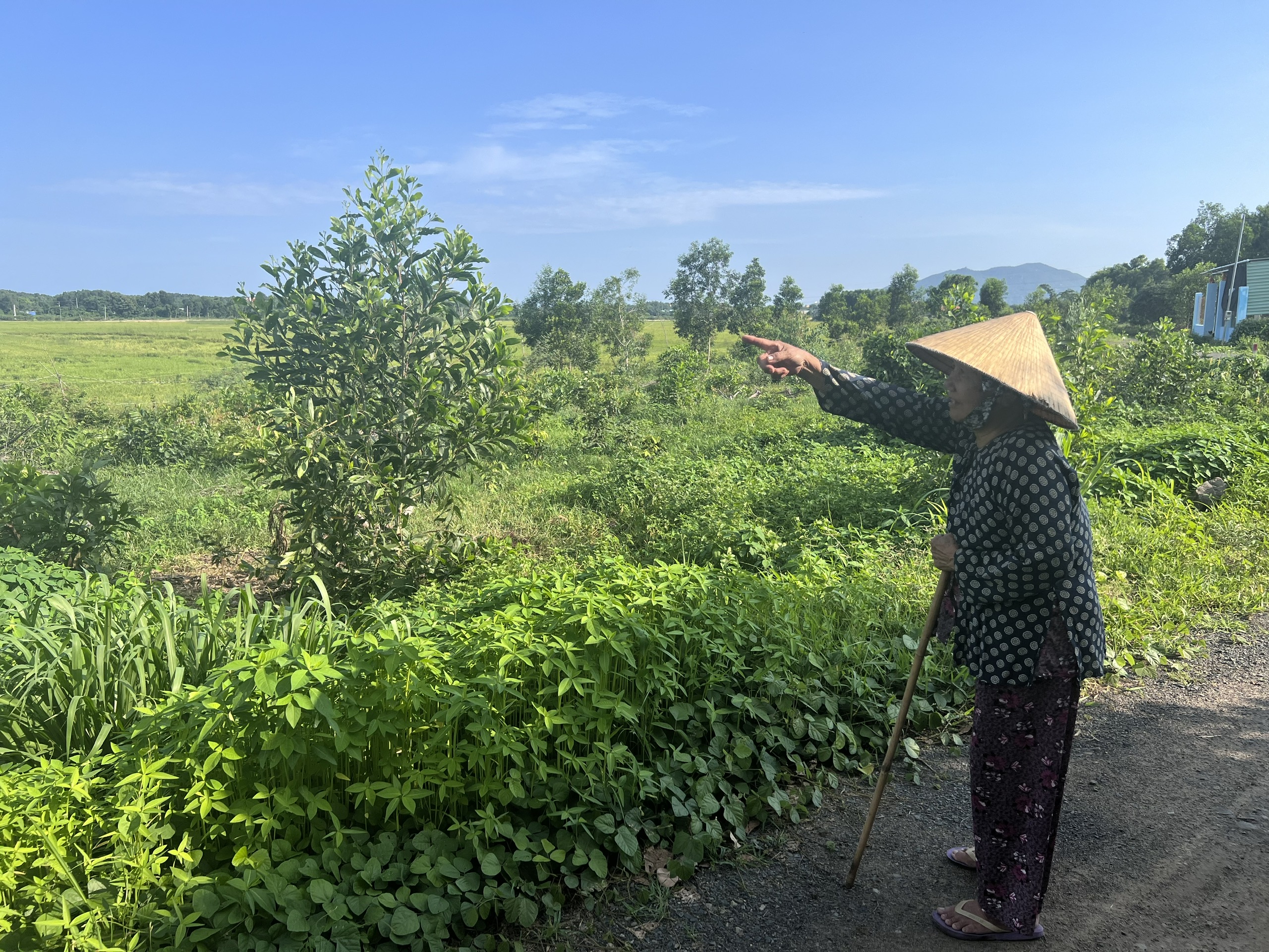 Bà Nguyễn Thị Gần khẳng định khu đất này là do nhóm bà khai phá từ năm 1978.