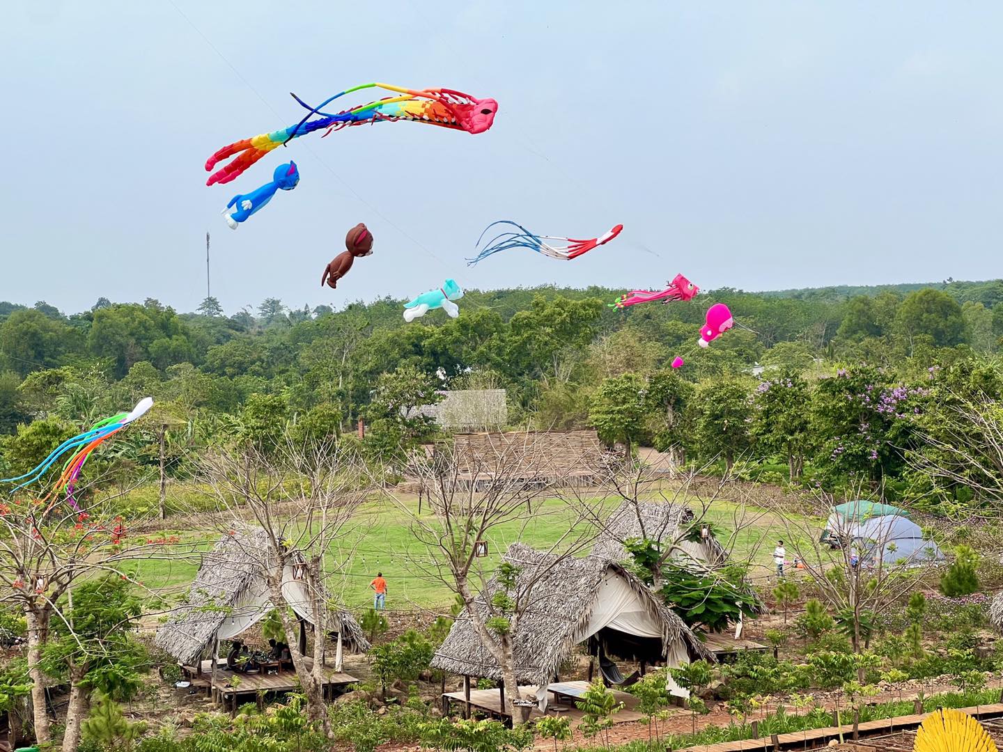 Quang cảnh Covy farm nhìn từ nhà hàng trên cao xuống.