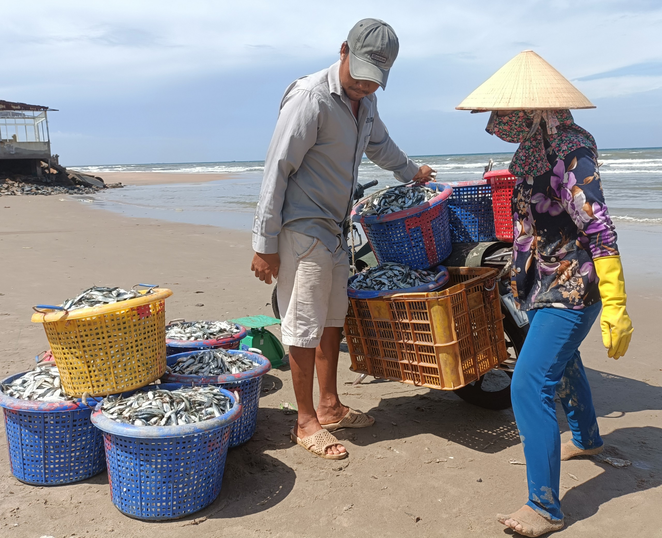 Thương lái thu mua cá ở cảng cá TT.Long Hải.