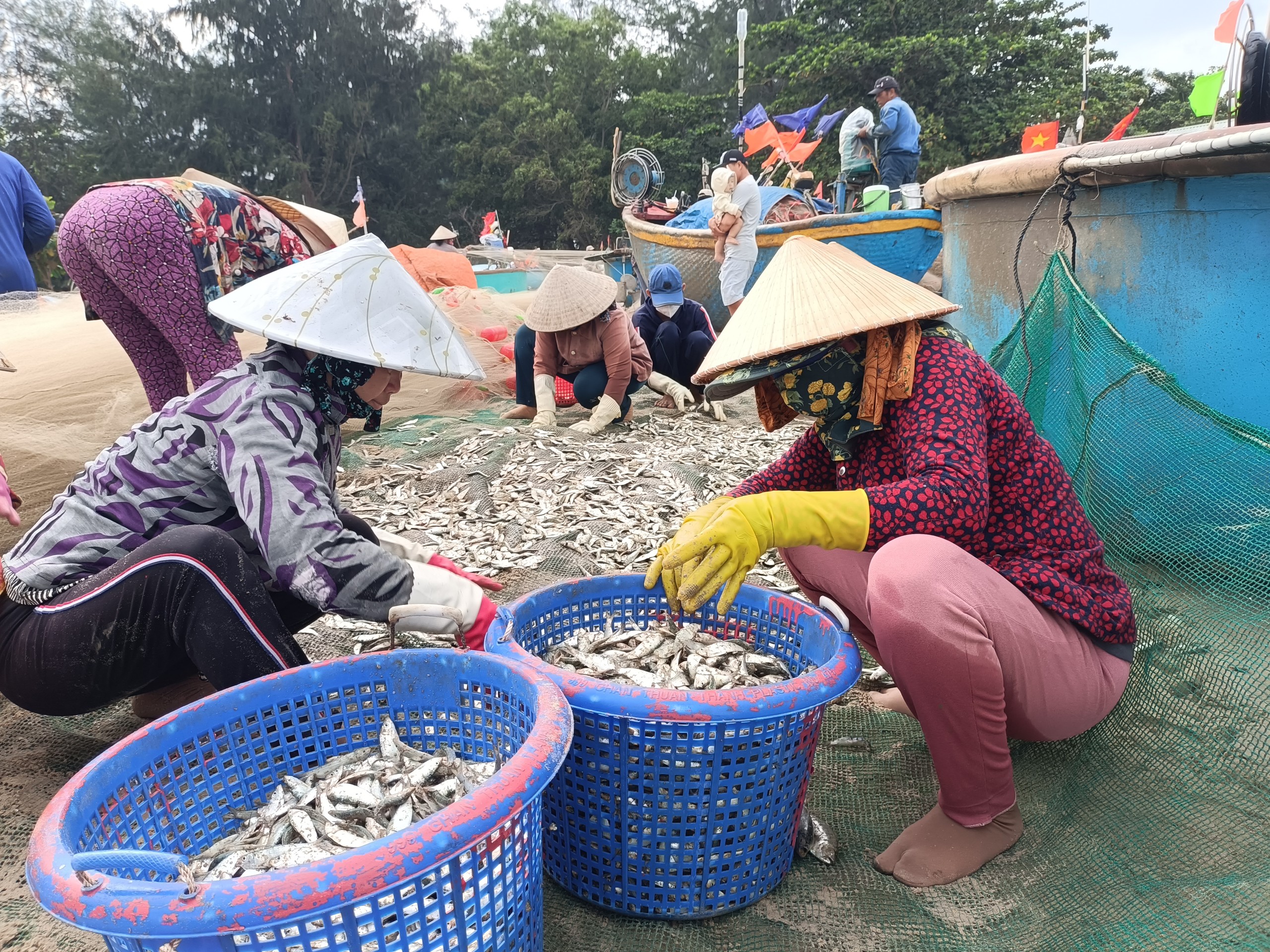 海鮮企業克服困難，等待機遇 – 巴地日報