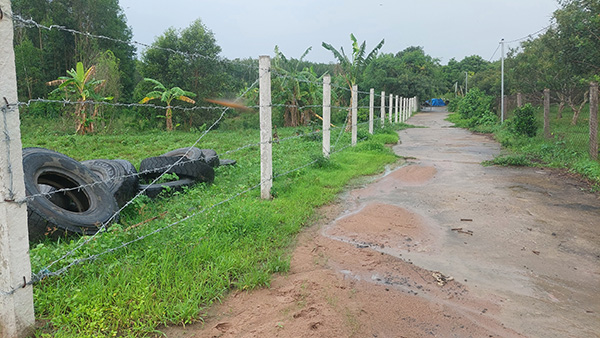 Phần diện tích đất tranh chấp đã làm đường bê tông bị TAND hai cấp của tỉnh tuyên làm lối đi chung.