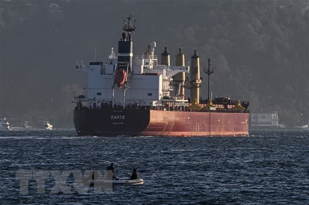 Tàu chở ngũ cốc của Ukraine di chuyển qua Eo biển Bosphorus trên Biển Đen ngày 2/11/2022.