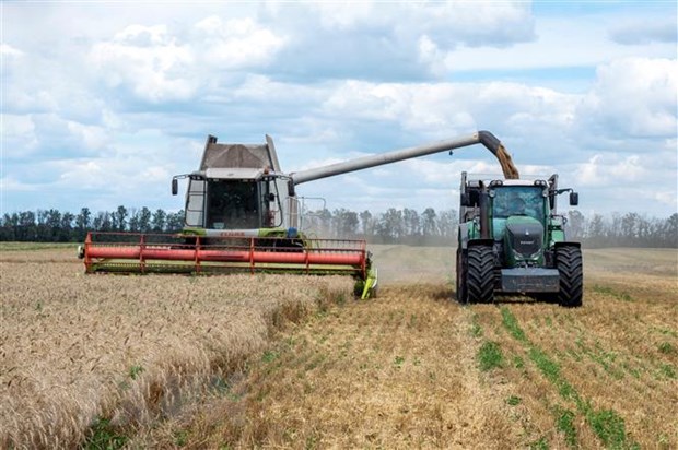 Nông dân thu hoạch lúa mì trên cánh đồng ở vùng Kharkiv, Ukraine.