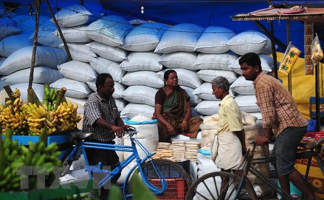 Một cửa hàng bán gạo tại Chennai, Ấn Độ.