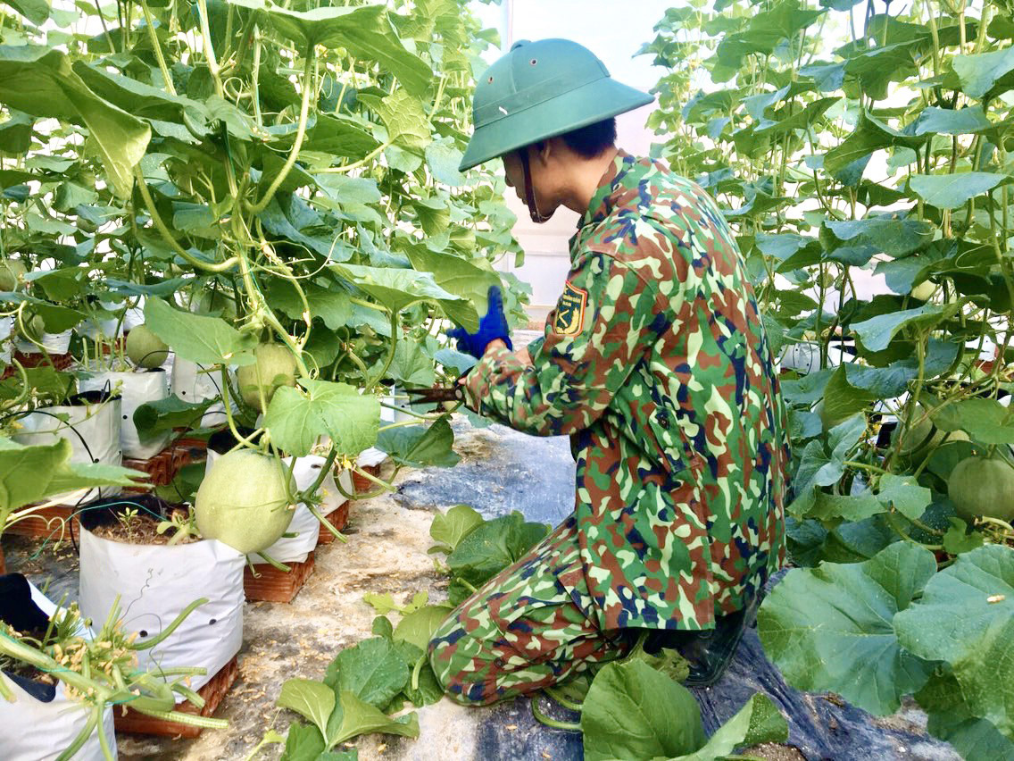 Chiến sĩ Trung đoàn Minh Đạm tăng gia sản xuất tại đơn vị.