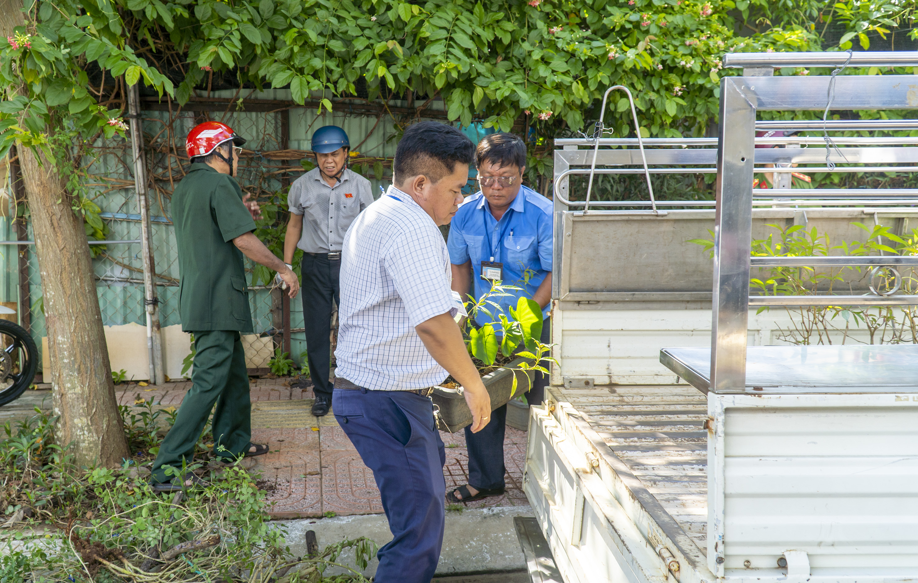 Lực lượng chức năng thu giữ nhiều cây kiểng do người dân, cơ sở kinh doanh để lấn chiếm lòng, lề đường, vỉa hè...