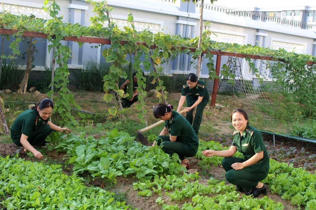 Phụ nữ BĐBP tỉnh chăm sóc vườn rau, phục vụ công tác nuôi quân.