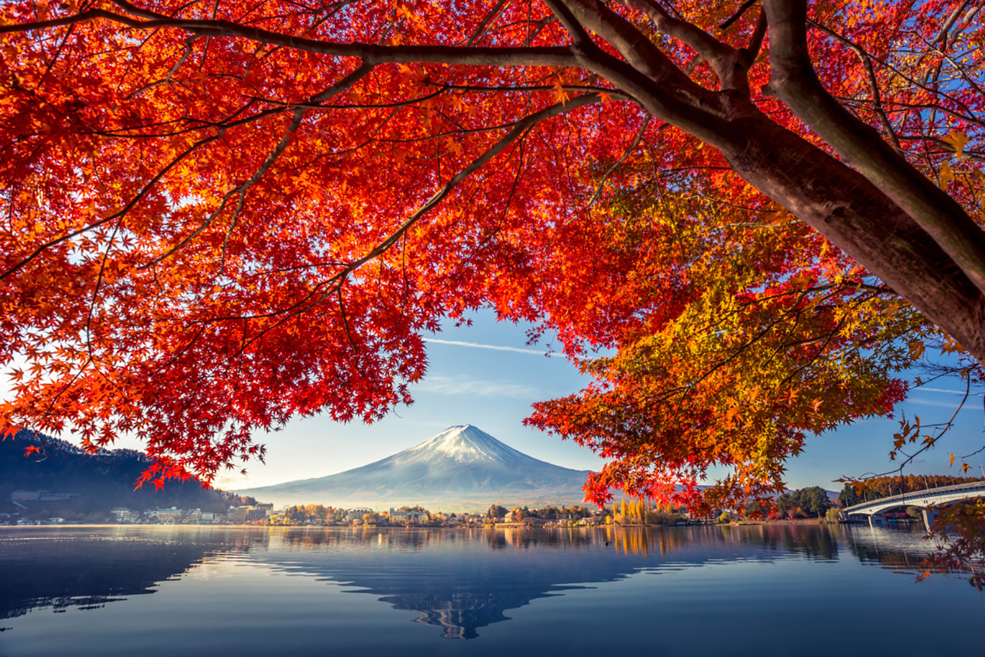 Lá phong rực đỏ quanh hồ Kawaguchi, tỉnh Yamanashi. Nơi đây lý tưởng để ngắn núi Phú Sĩ. Ảnh: Tokyo Cheapo