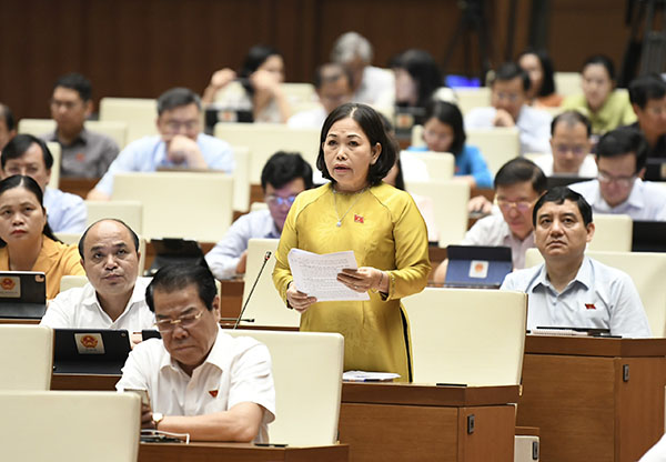 Bà Nguyễn Thị Yến, Phó Bí thư Thường trực Tỉnh ủy, Trưởng Đoàn ĐBQH Bà Rịa-Vũng Tàu phát biểu thảo luận