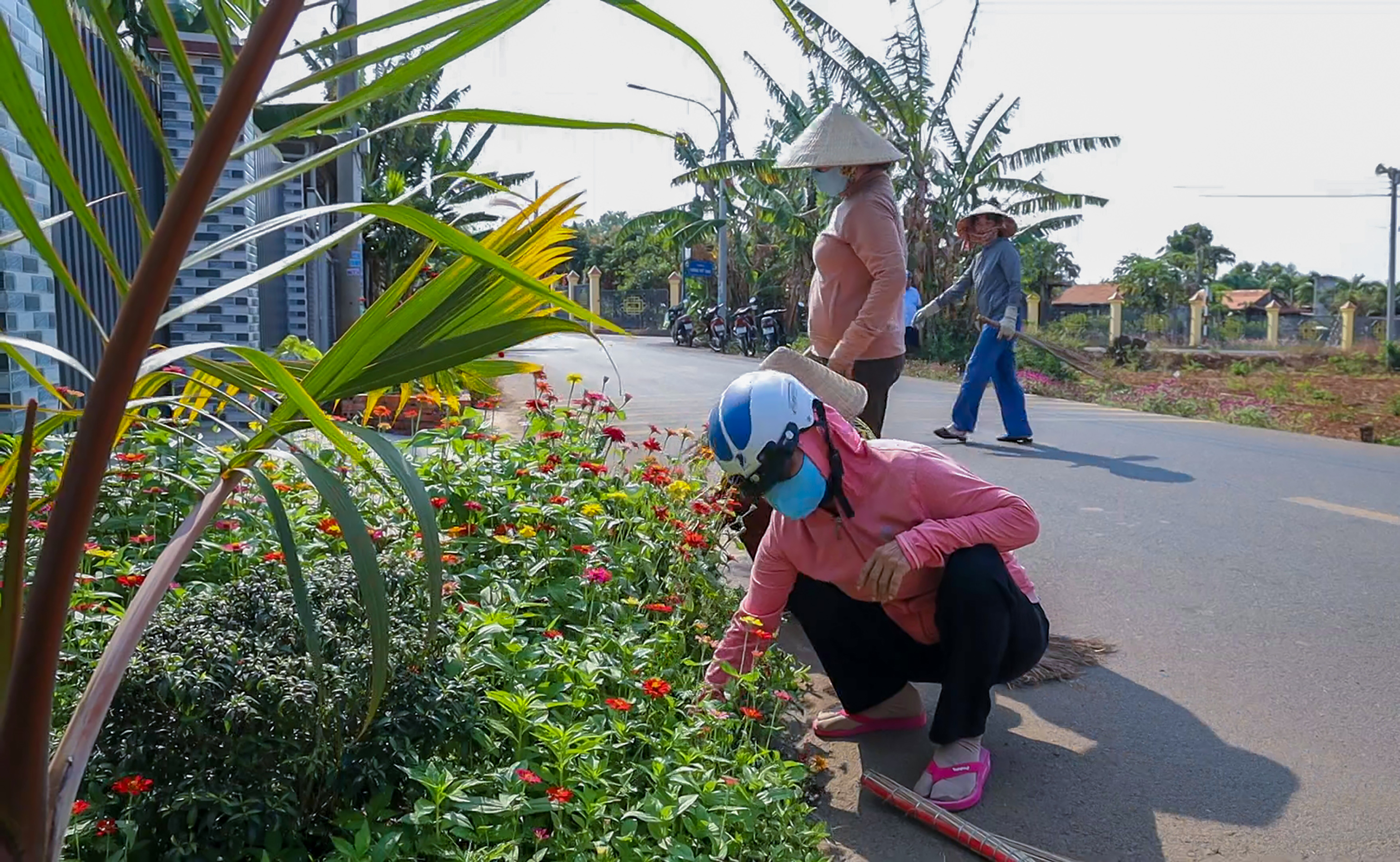 Đoàn viên, hội viên các hội, đoàn thể và nhân dân chăm sóc, bảo vệ các tuyến đường hoa trên địa bàn TT.Đất Đỏ, huyện Đất Đỏ.