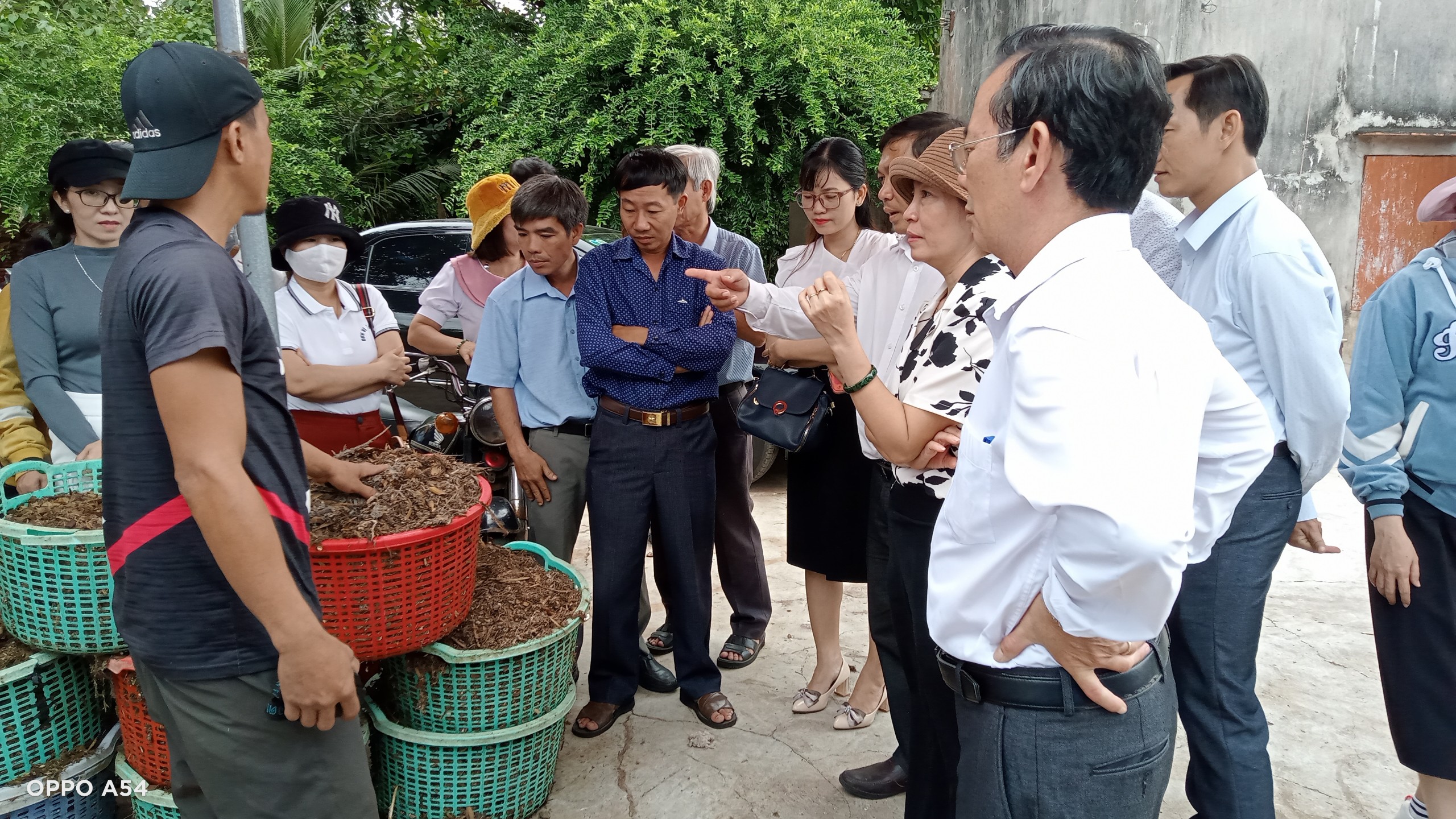 Đoàn công tác của huyện Đức Linh (tỉnh Bình Thuận) tham quan mô hình trồng nấm rơm tại xã Bình Trung.