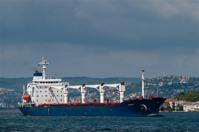 Tàu chở ngũ cốc Ukraine di chuyển qua Eo biển Bosphorus ở Istanbul, Thổ Nhĩ Kỳ.