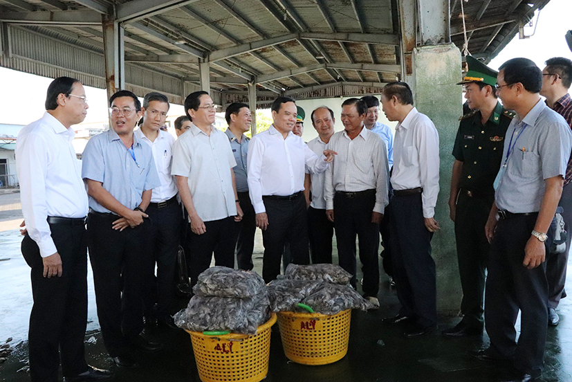 Đoàn công tác Chính phủ do Phó Thủ tướng Trần Lưu Quang dẫn đầu (ở giữa) kiểm tra công tác IUU tại cảng Cát Lở (TP.Vũng Tàu) sáng 13/12.