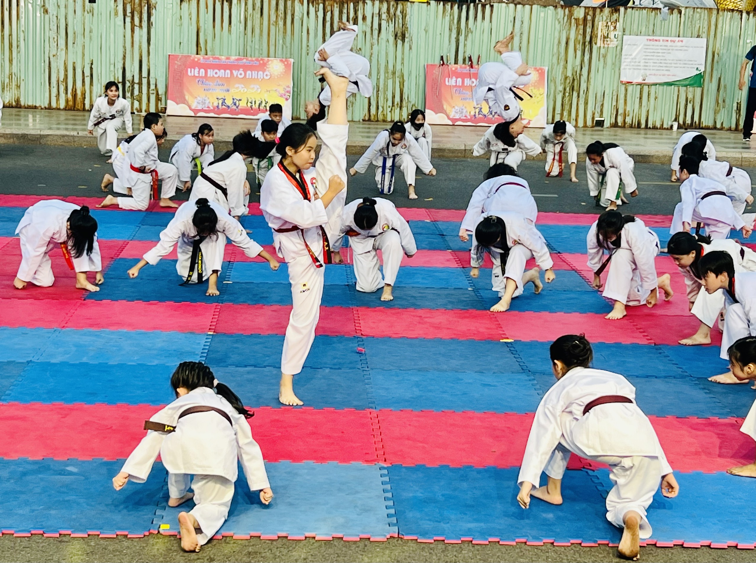Biểu diễn võ thuật Taekwondo
