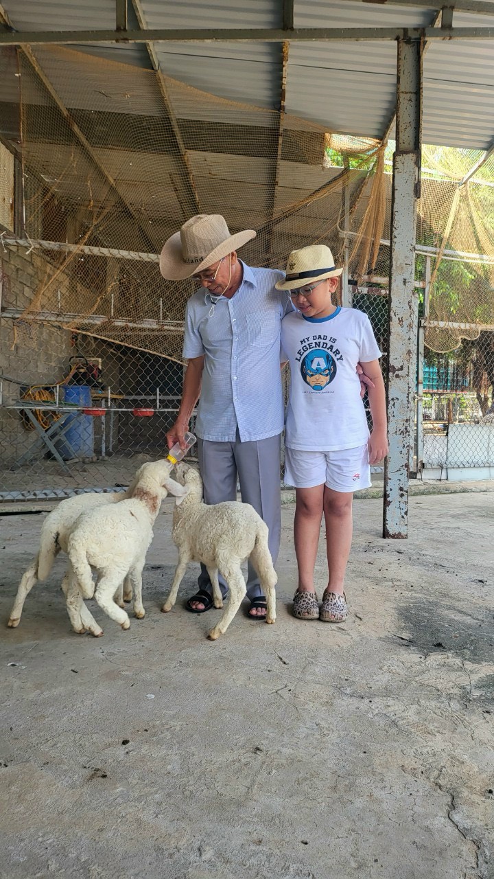 Du khách thích thú trải nghiệm nông trại,  chăm sóc thú cưng.