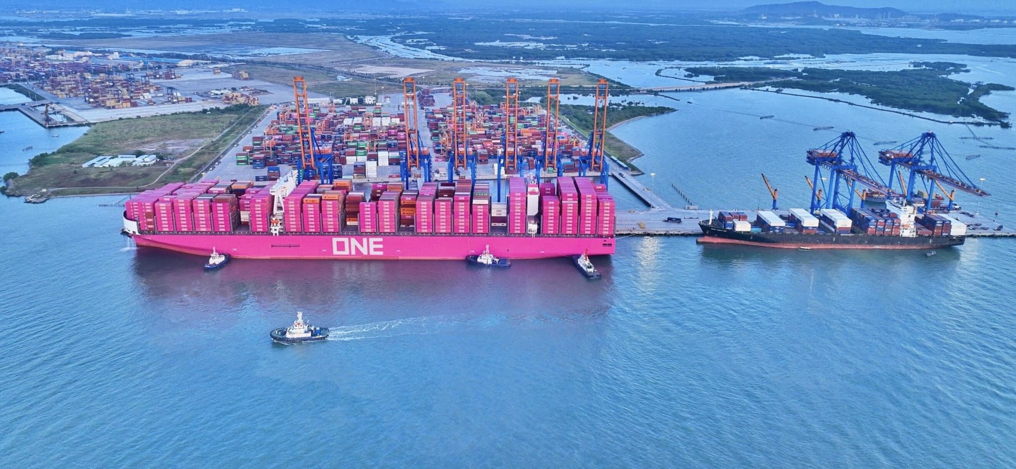  Siêu tàu ONE INTELLIGENCE mang màu hồng đầy ấn tượng làm rực rỡ toàn cảng Gemalink vào sáng mùng 1 Tết