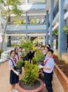 Trường TH Phước Thắng trồng gần 500 cây xanh trong trường học