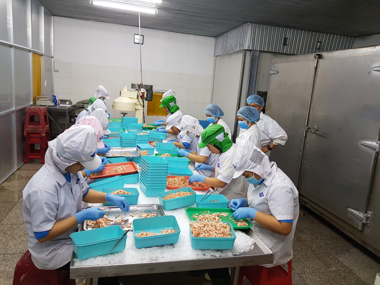 Sơ chế thịt ghẹ xuất khẩu ở Công ty Đức Danh (xã Phước Hưng, huyện Long Điền).