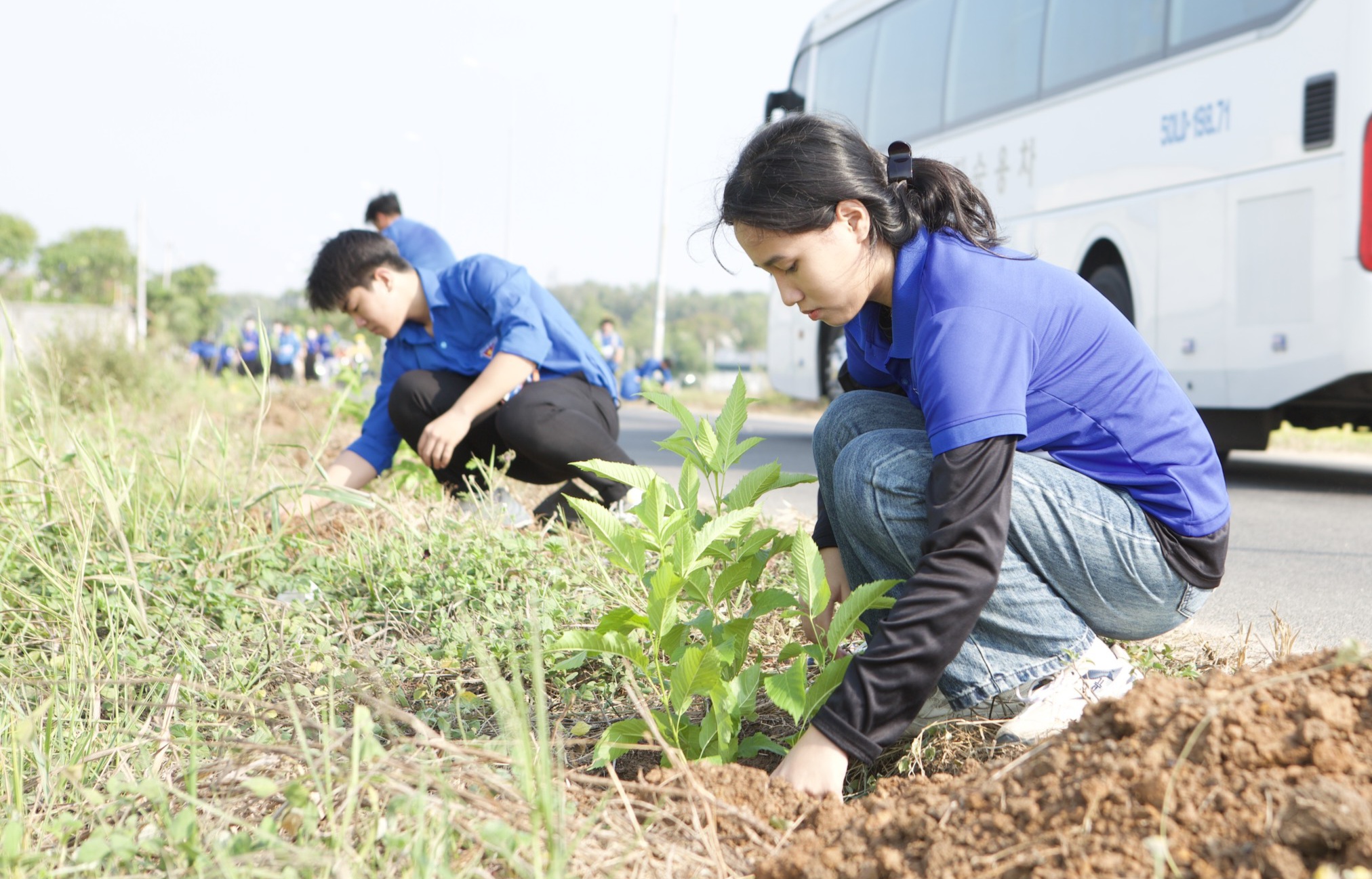 ĐVTN tham gia trồng cây xanh trên tuyến đường D48 (huyện Long Điền).