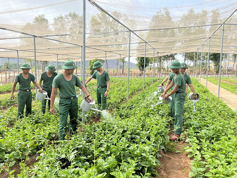 Sau giờ học tập và huấn luyện, chiến sĩ mới tham gia tăng gia sản xuất.