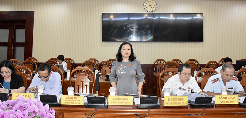 Bà Huỳnh Thị Phúc, Phó Trưởng Đoàn ĐBQH tỉnh phát biểu kết luận buổi giám sát.