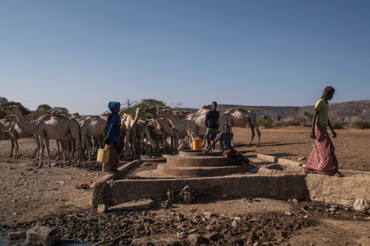 Người dân lấy nước sinh hoạt tại giếng ở El Gel, Ethiopia.