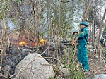 Kịp thời dập tắt đám cháy rừng tại núi Bao Quan