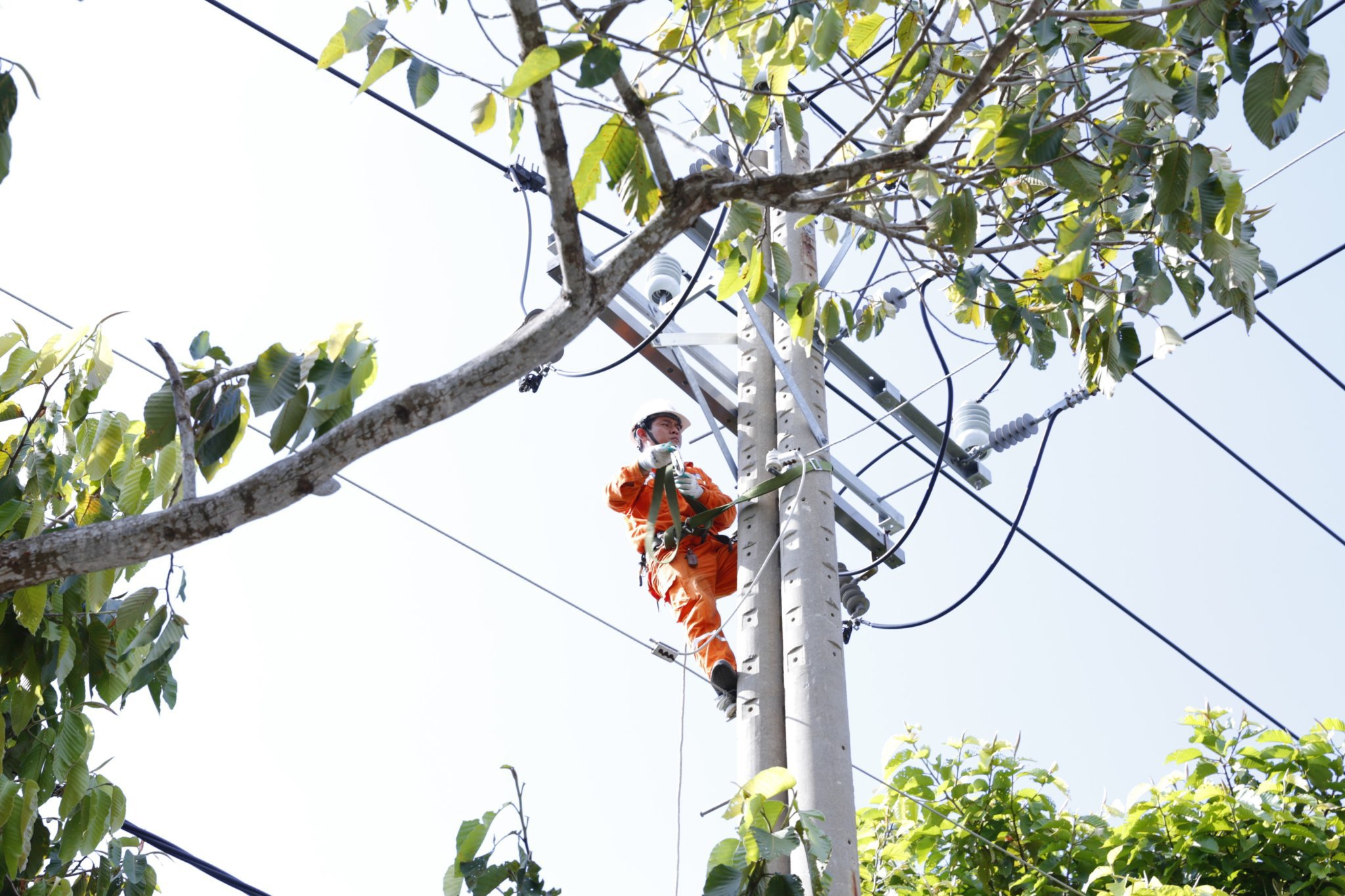 Điện lực tỉnh thực hiện đồng bộ nhiều giải pháp bảo đảm cung cấp điện cho sản xuất, kinh doanh.  Trong ảnh: Nhân viên Điện lực Vũng Tàu bảo trì lưới điện tại phường 12.