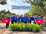 Phủ xanh từ thành thị đến nông thôn