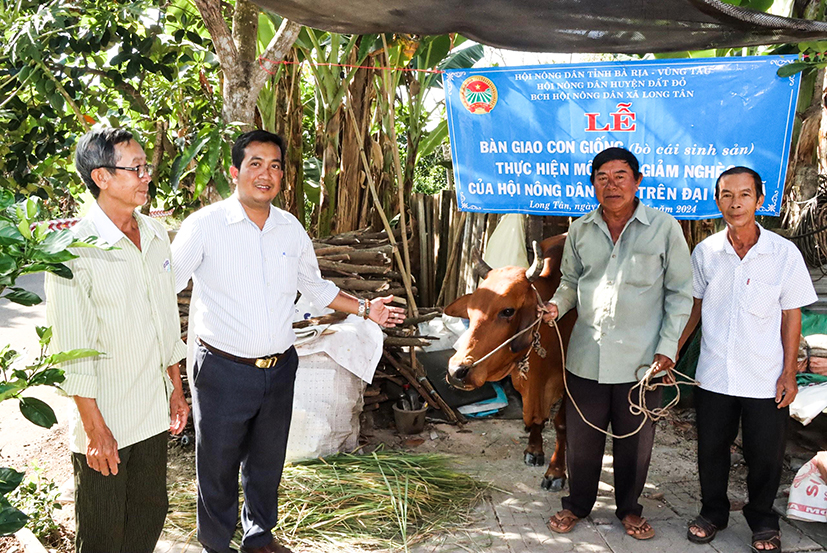 Trao bò giống sinh sản cho hội viên Lưu Chí Hiếu, ở ấp Tân Hòa, xã Long Tân.