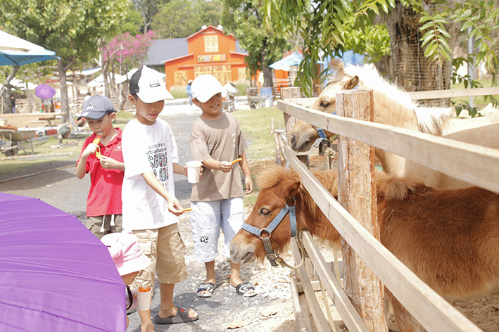 Du khách trải nghiệm, tham quan vườn thú tại Nông trại Go Zoo.