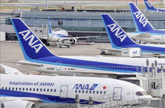 Máy bay của Hãng hàng không Nhật Bản All Nippon Airways tại sân bay Haneda ở Tokyo.