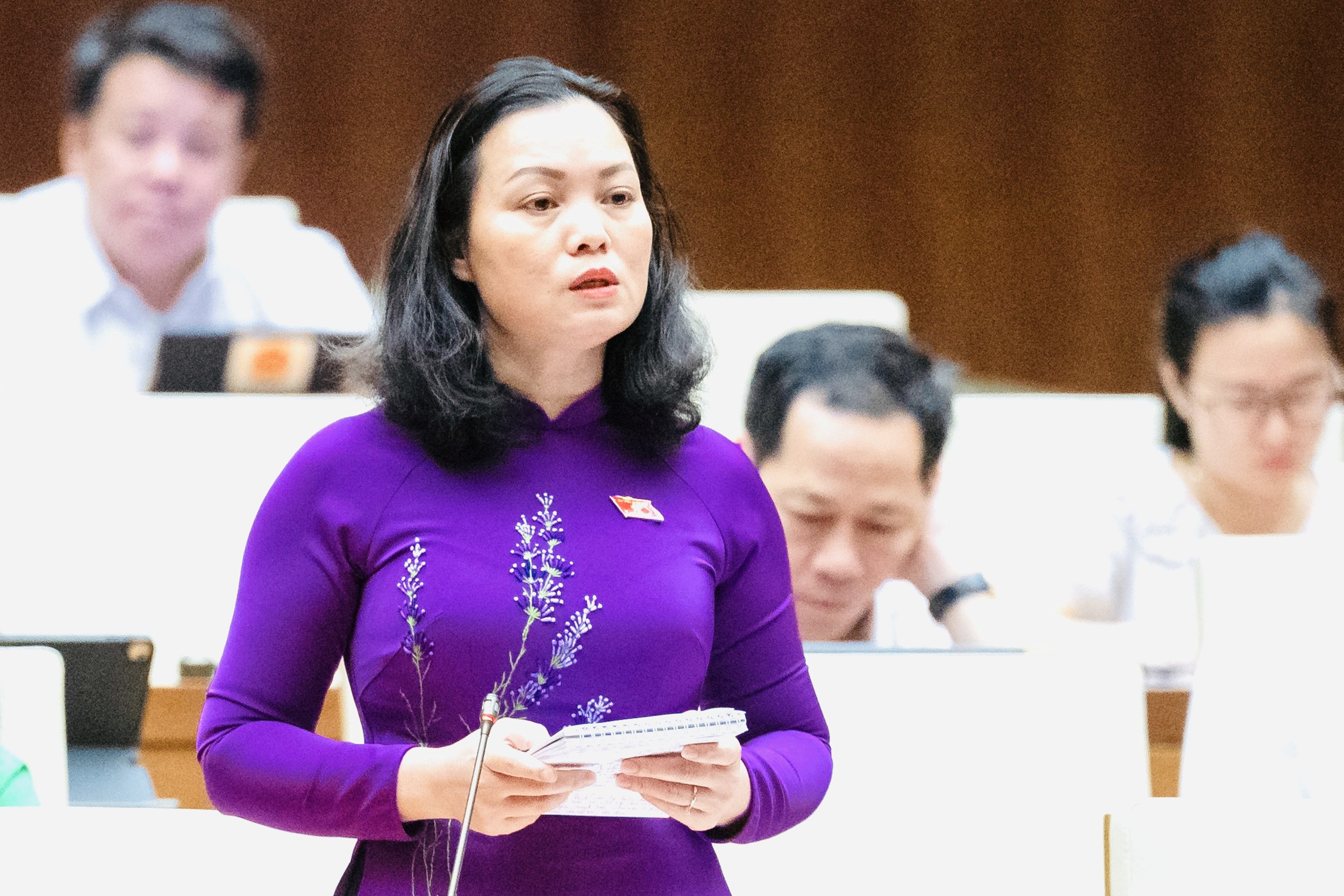 Bà Huỳnh Thị Phúc, Phó Trưởng Đoàn ĐBQH tỉnh Bà Rịa - Vũng Tàu phát biểu tại hội trường.