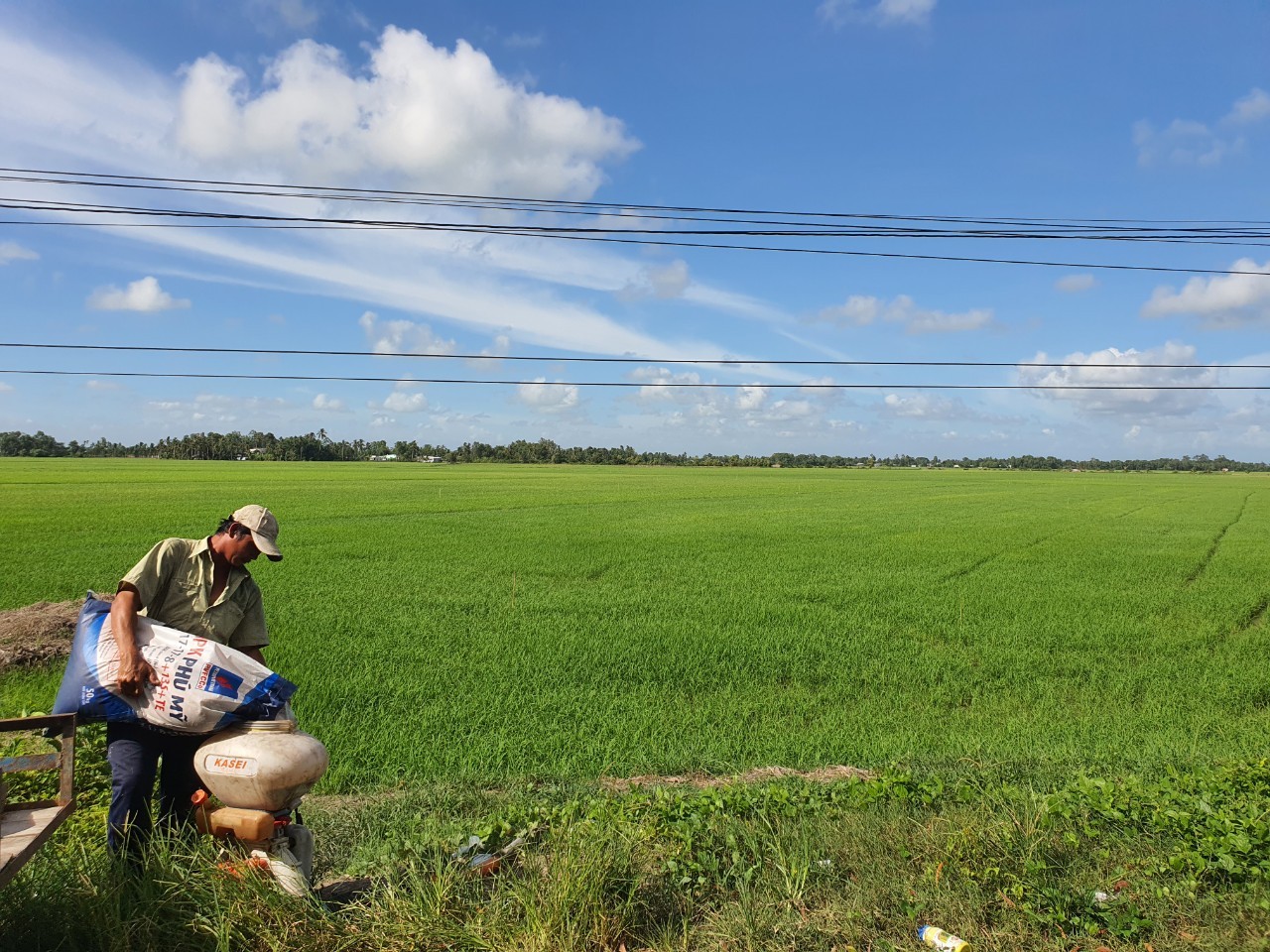 Người nông dân đang phải sử dụng phân bón với giá thành cao hơn do mặt hàng phân bón không thuộc đối tượng áp thuế giá trị gia tăng.