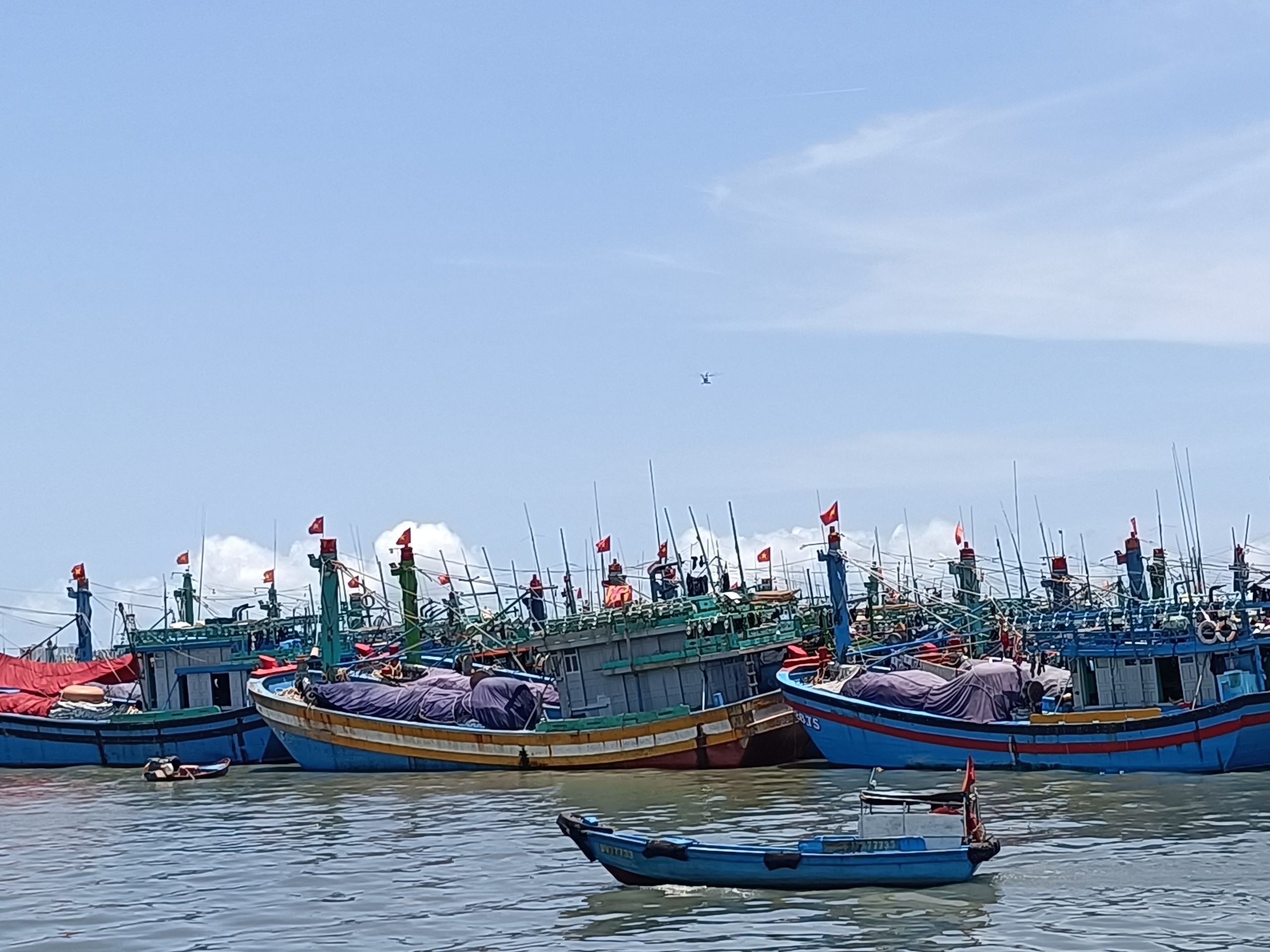 Giảm số lượng tàu cá, khai thác thủy sản có chọn lọc