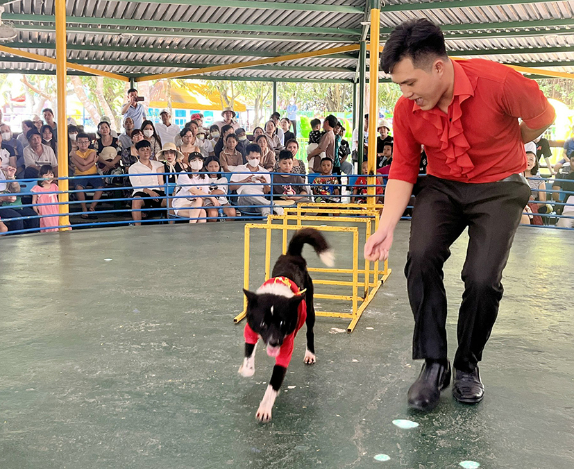 Biểu diễn xiếc thú tại Hồ Mây Park.