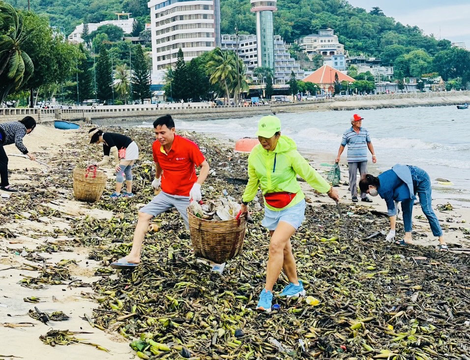 Các thành viên CLB Biển xanh tham gia thu gom rác đại dương