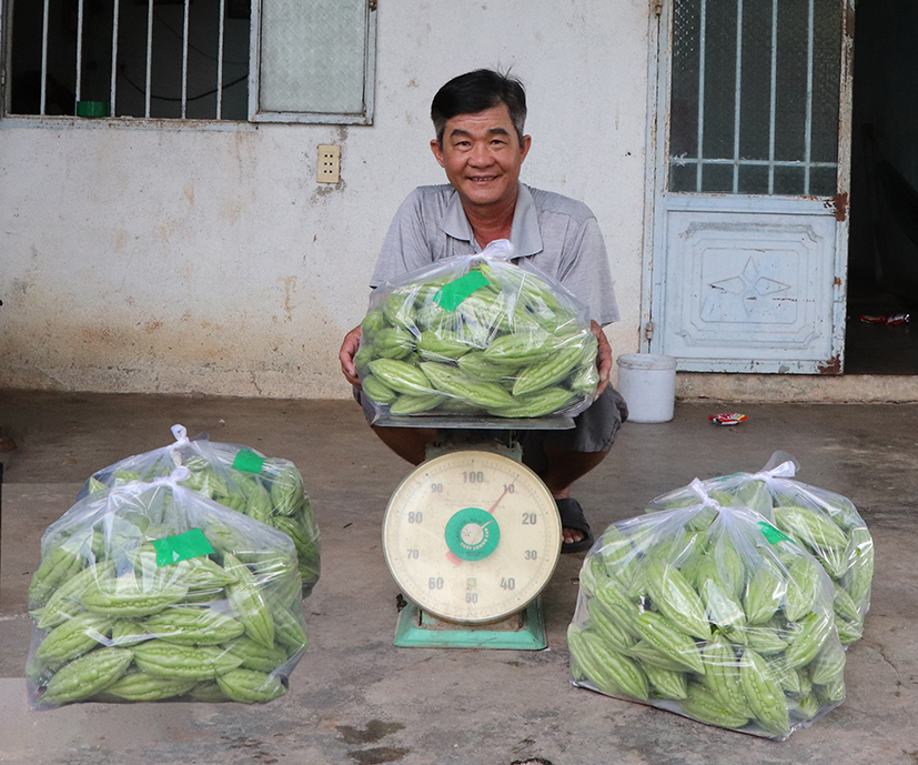 Nông dân khấm khá nhờ trồng rau ăn quả