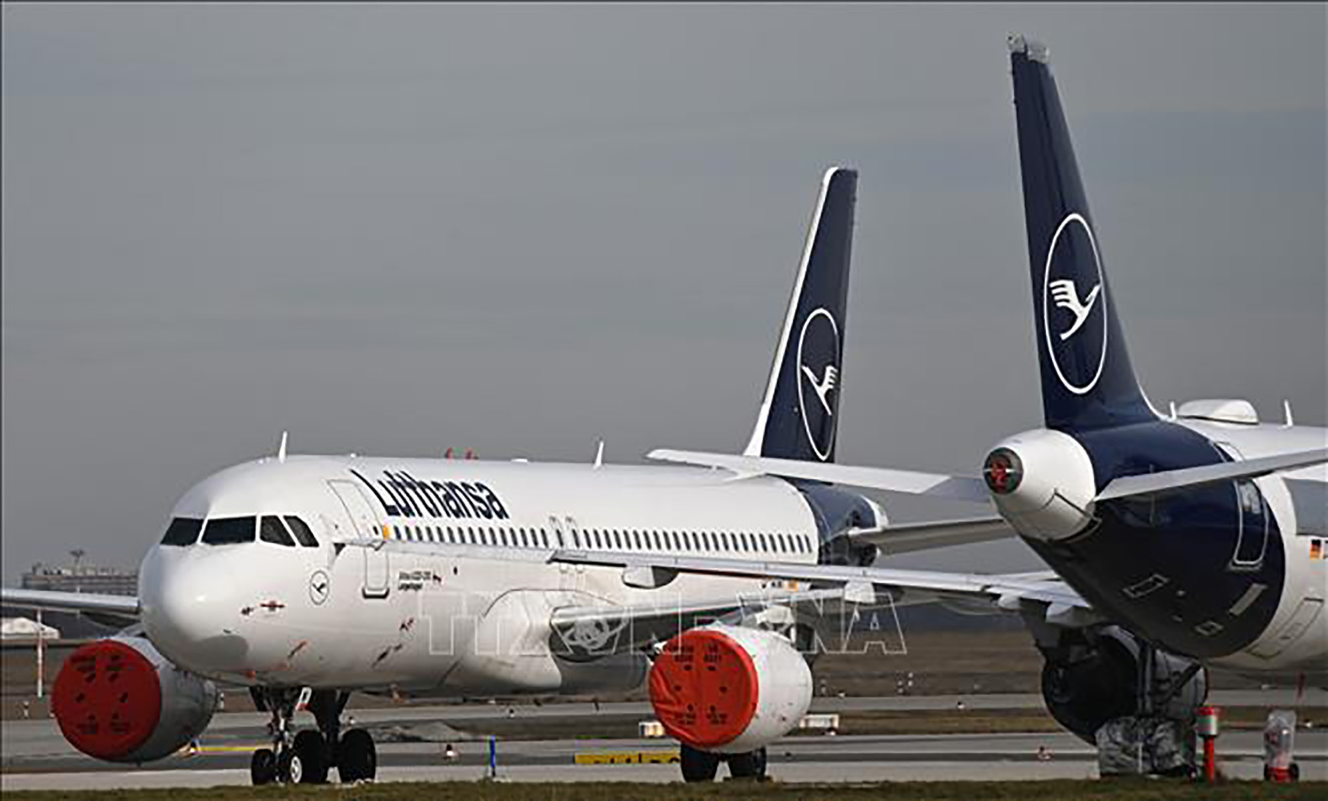 Máy bay của hãng hàng không Lufthansa tại sân bay Berlin Brandenburg, Đức.